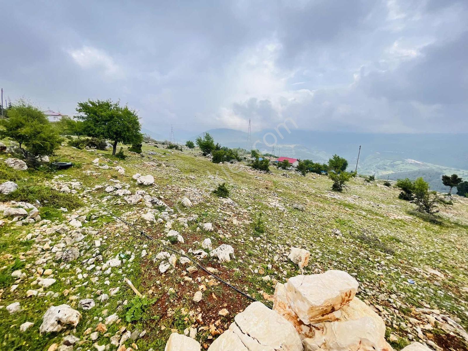 Ra Gayrmenkul Çamlıyayla Sarıkavak Hayvancılığa Uygun Arazi — fotoğraf 20