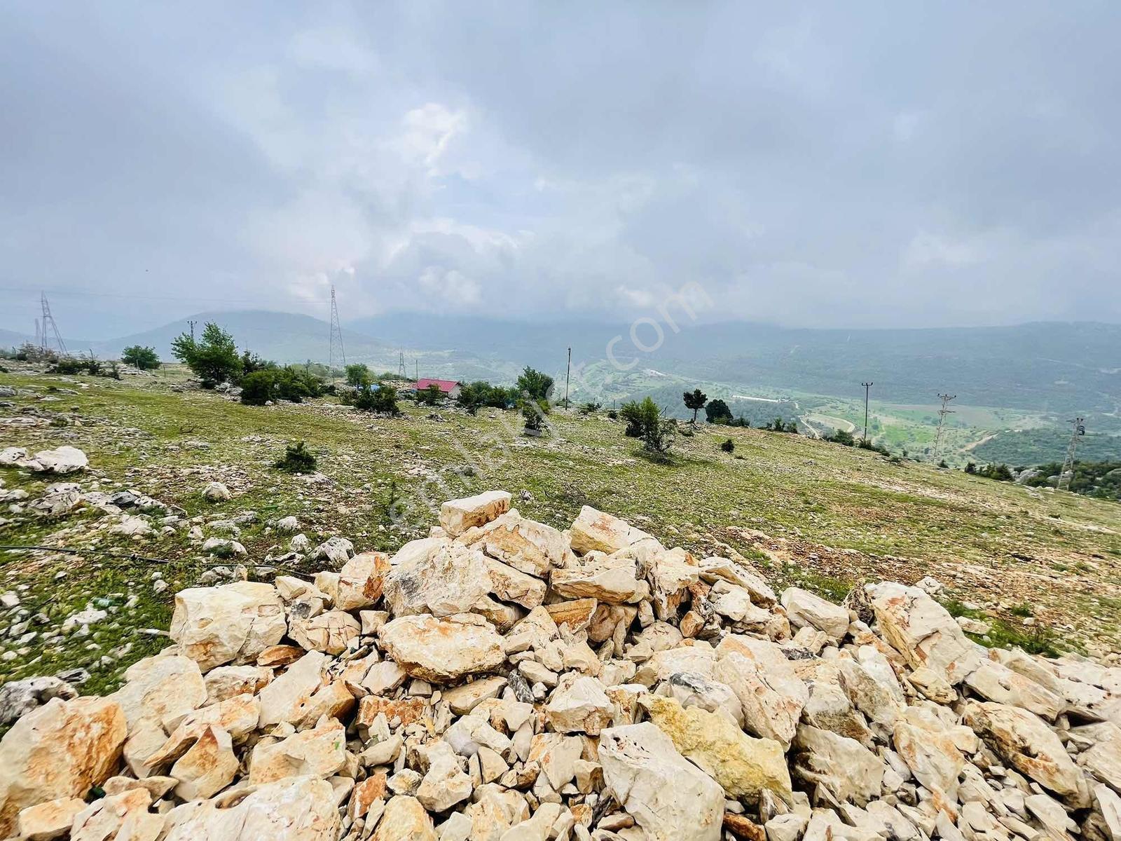 Ra Gayrmenkul Çamlıyayla Sarıkavak Hayvancılığa Uygun Arazi — fotoğraf 21