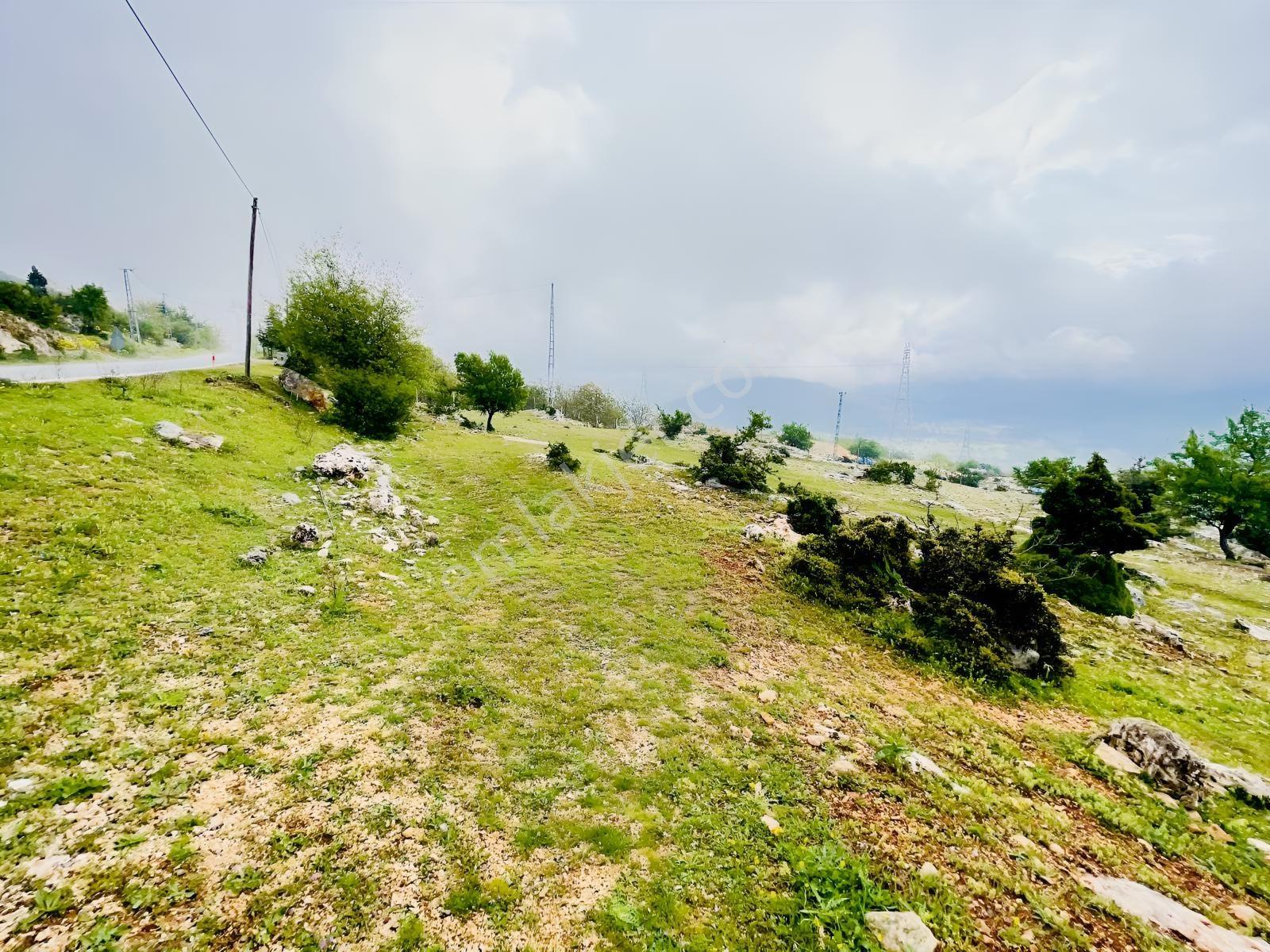 Ra Gayrmenkul Çamlıyayla Sarıkavak Hayvancılığa Uygun Arazi — fotoğraf 22