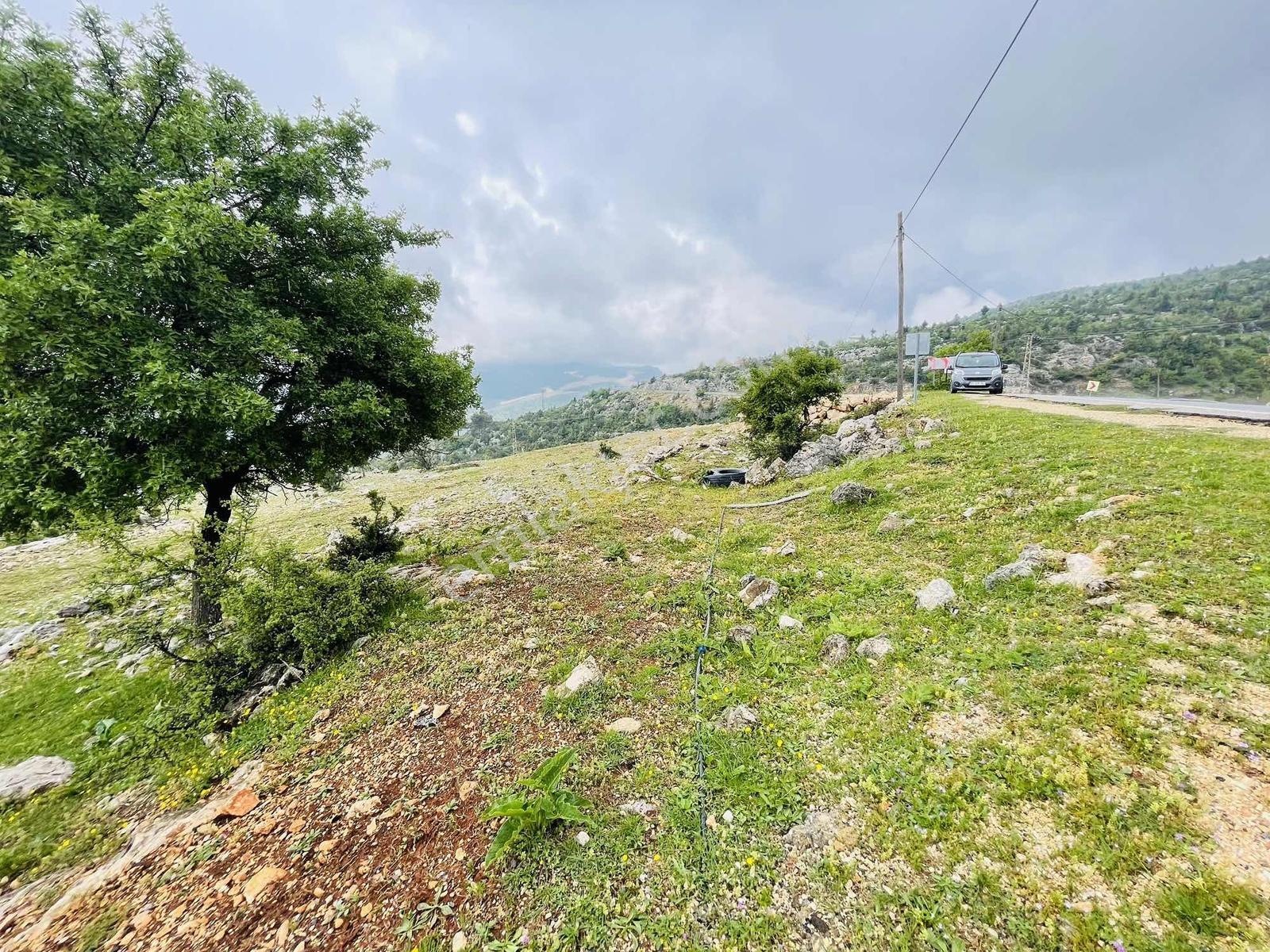 Ra Gayrmenkul Çamlıyayla Sarıkavak Hayvancılığa Uygun Arazi — fotoğraf 23