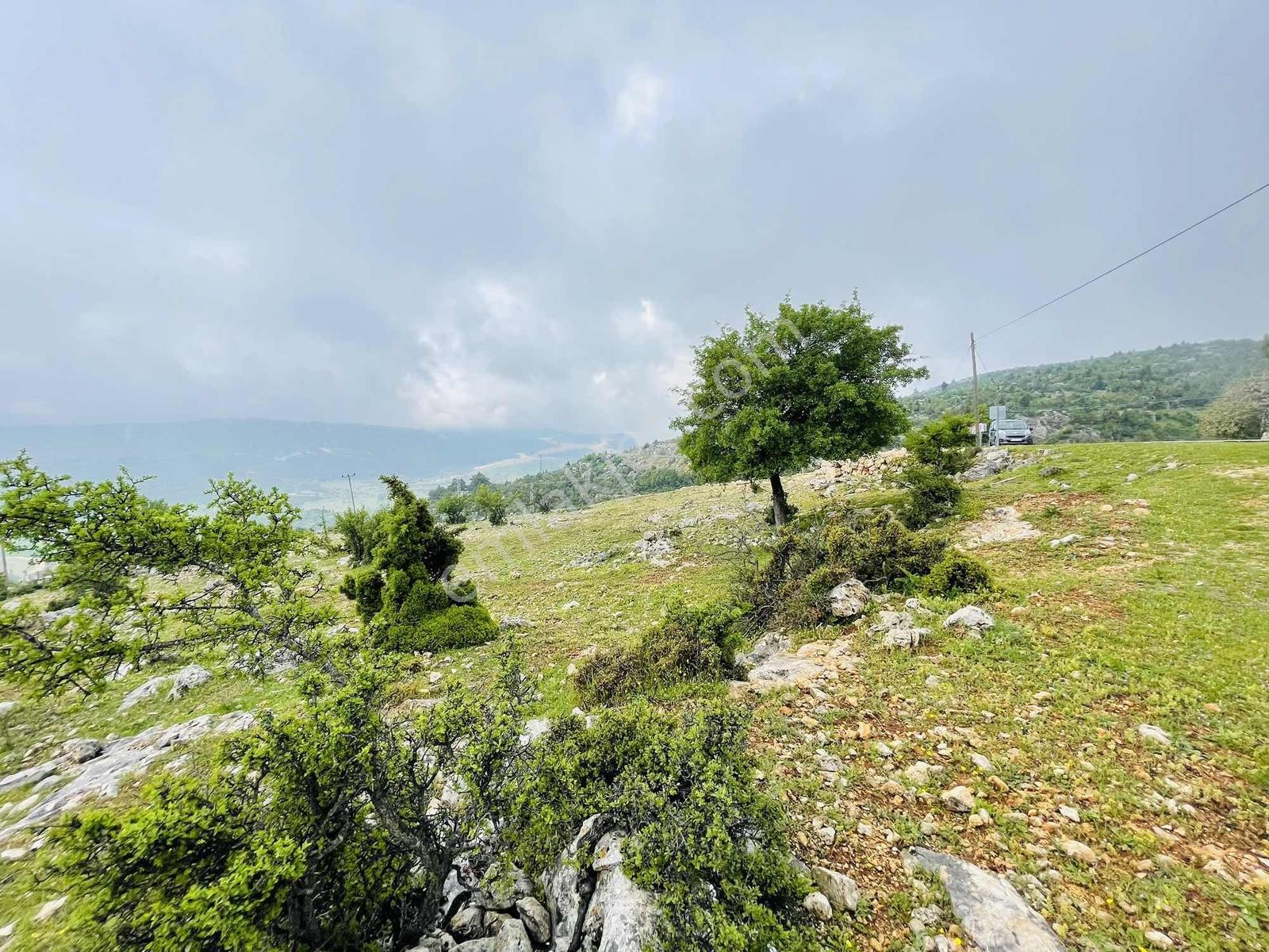 Ra Gayrmenkul Çamlıyayla Sarıkavak Hayvancılığa Uygun Arazi — fotoğraf 24