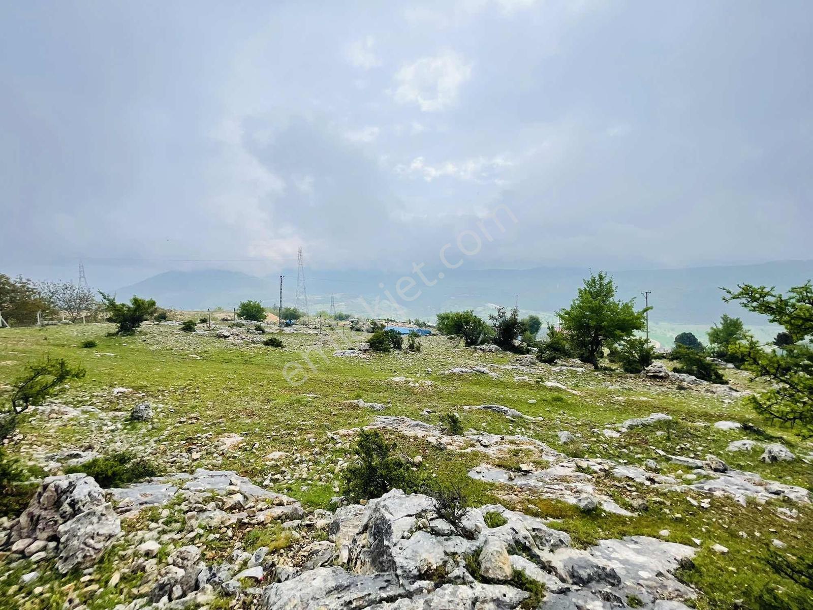 Ra Gayrmenkul Çamlıyayla Sarıkavak Hayvancılığa Uygun Arazi — fotoğraf 25