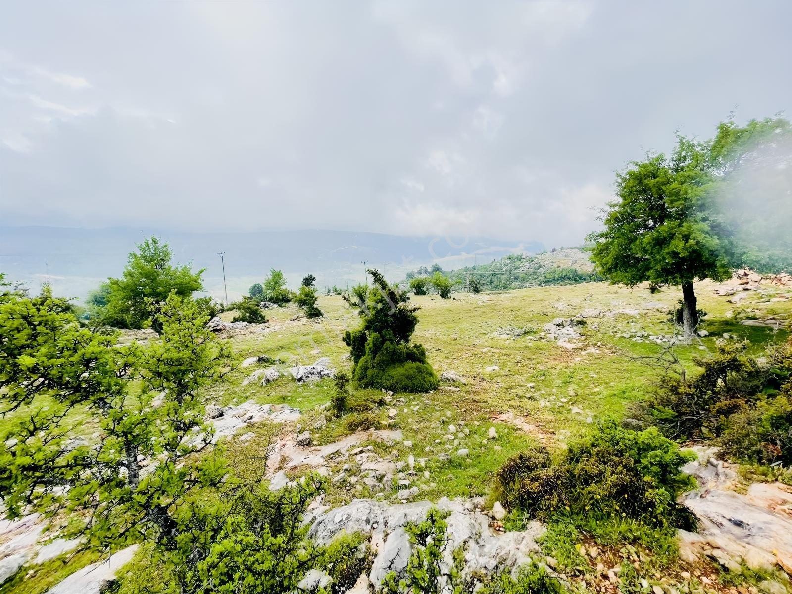 Ra Gayrmenkul Çamlıyayla Sarıkavak Hayvancılığa Uygun Arazi — fotoğraf 26