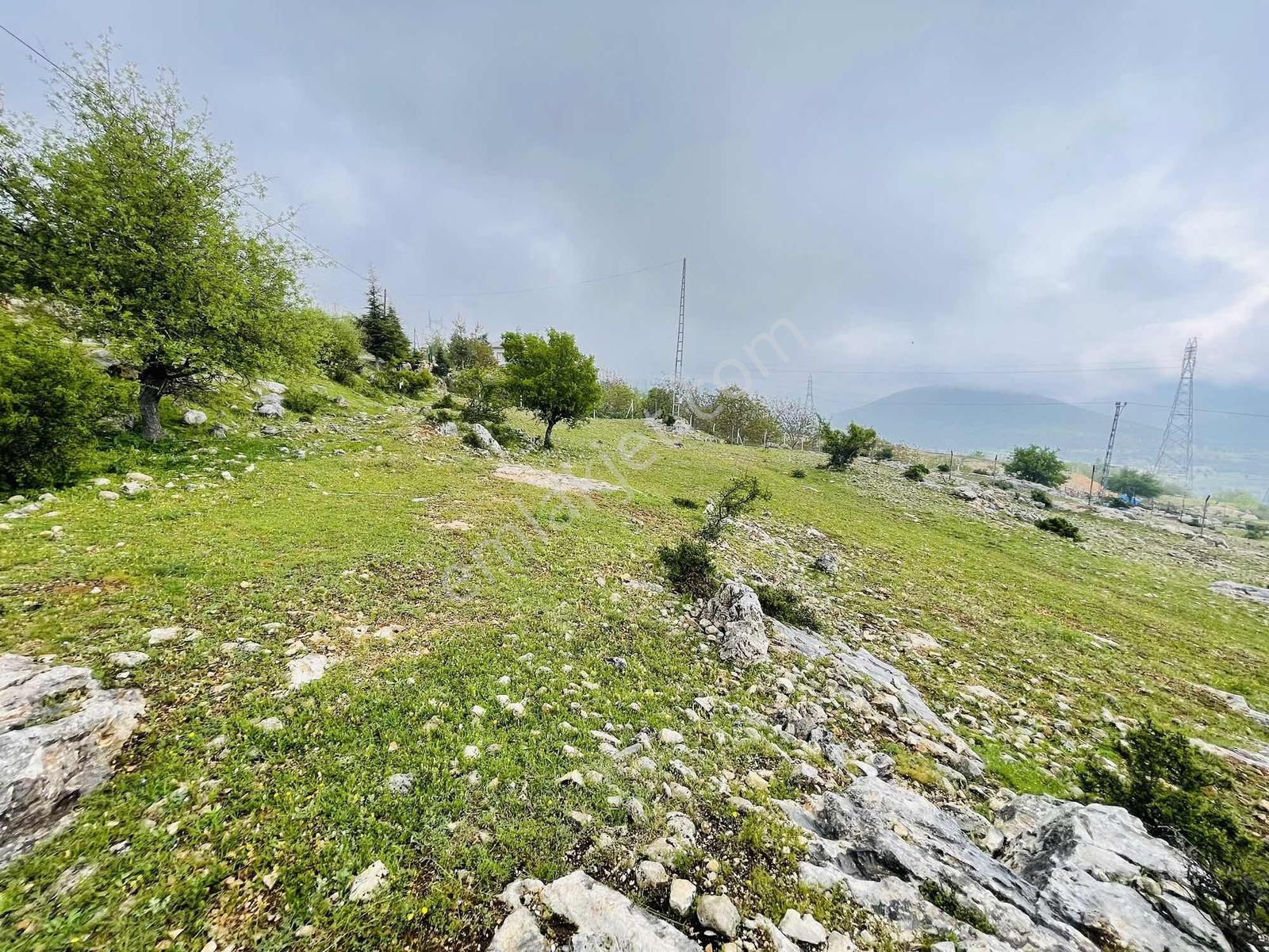Ra Gayrmenkul Çamlıyayla Sarıkavak Hayvancılığa Uygun Arazi — fotoğraf 28