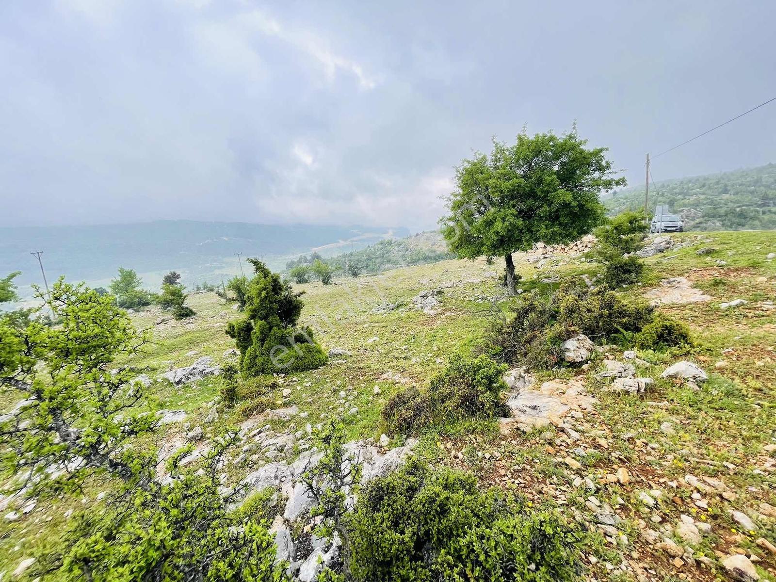 Ra Gayrmenkul Çamlıyayla Sarıkavak Hayvancılığa Uygun Arazi — fotoğraf 29