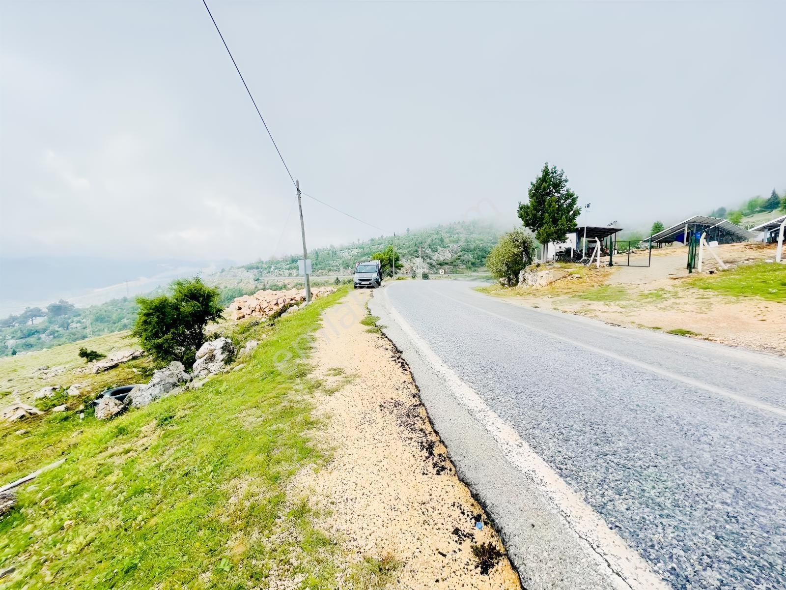 Ra Gayrmenkul Çamlıyayla Sarıkavak Hayvancılığa Uygun Arazi — fotoğraf 30