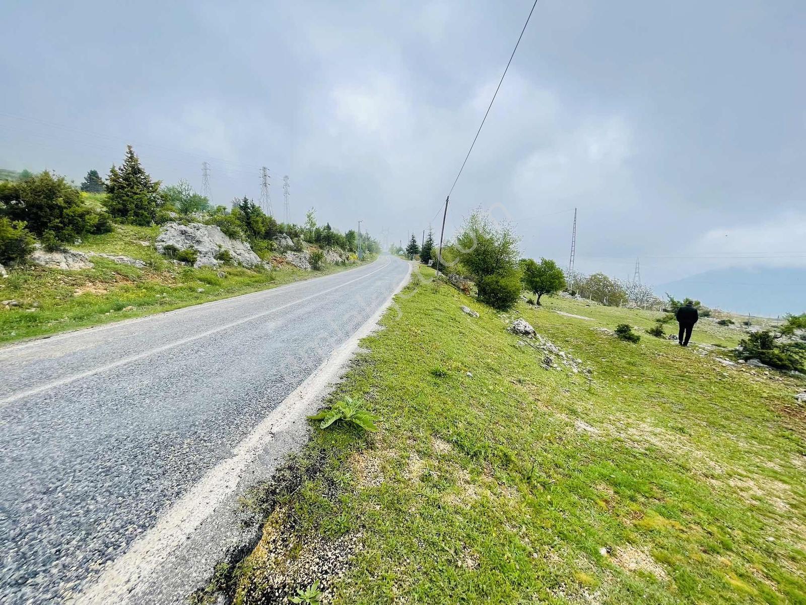 Ra Gayrmenkul Çamlıyayla Sarıkavak Hayvancılığa Uygun Arazi — fotoğraf 31