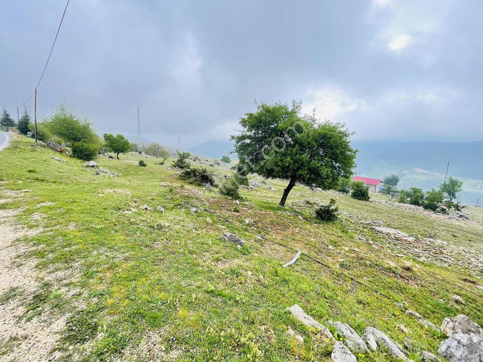 Ra Gayrmenkul Çamlıyayla Sarıkavak Hayvancılığa Uygun Arazi — fotoğraf 33
