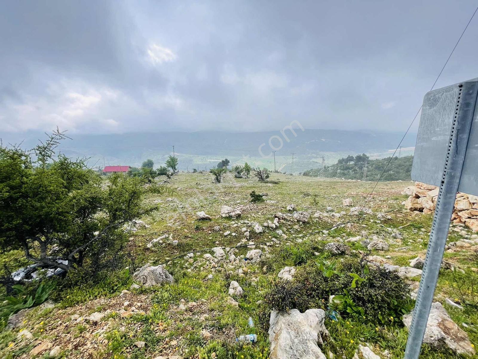 Ra Gayrmenkul Çamlıyayla Sarıkavak Hayvancılığa Uygun Arazi — fotoğraf 34