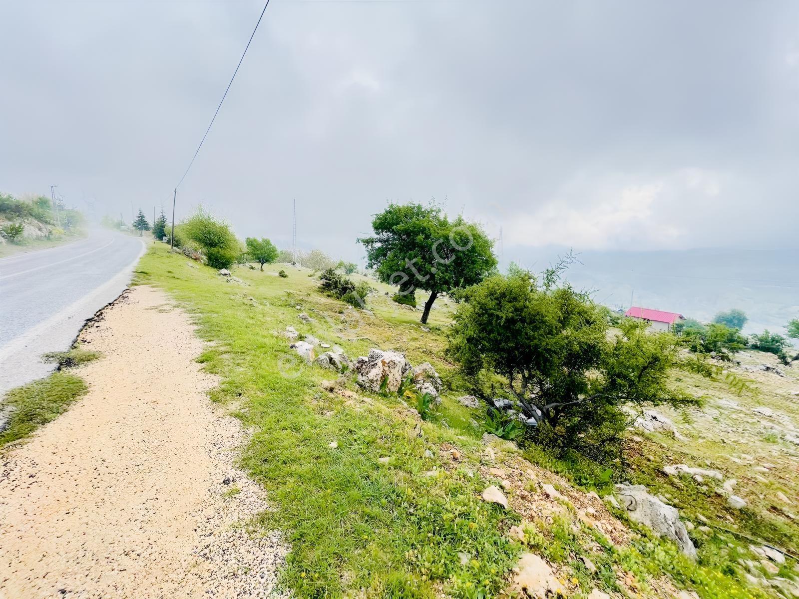 Ra Gayrmenkul Çamlıyayla Sarıkavak Hayvancılığa Uygun Arazi — fotoğraf 35