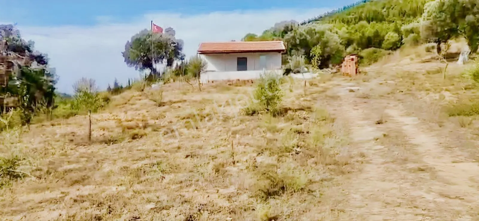 Seferihar 'da Satılık Zeytinli Tarla — fotoğraf 10