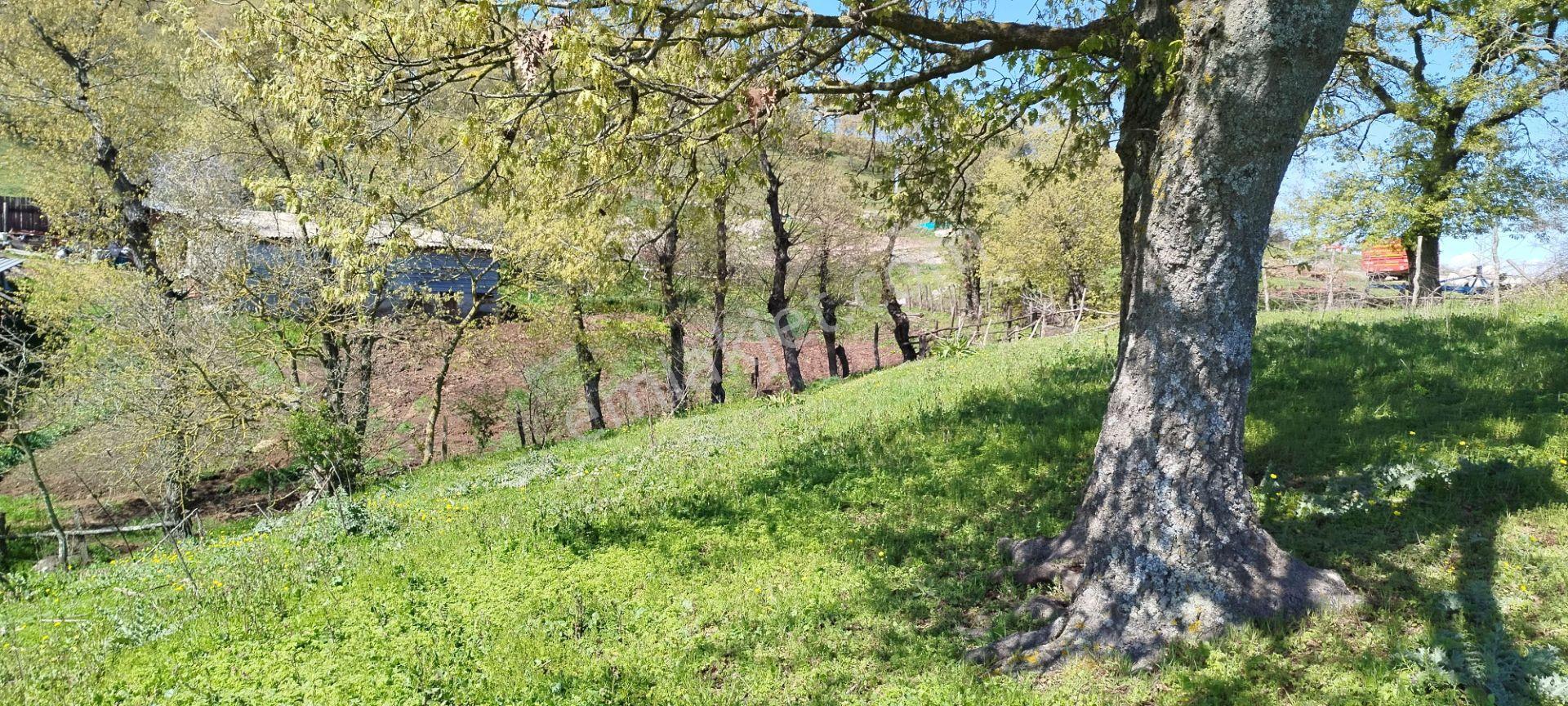 1.734 M2 Arsa Keşif Arazi . Balıkesir Gönen Kalburcu Köyü 110-3 Parselde. Köy Kenarında, Düz, Me — fotoğraf 7