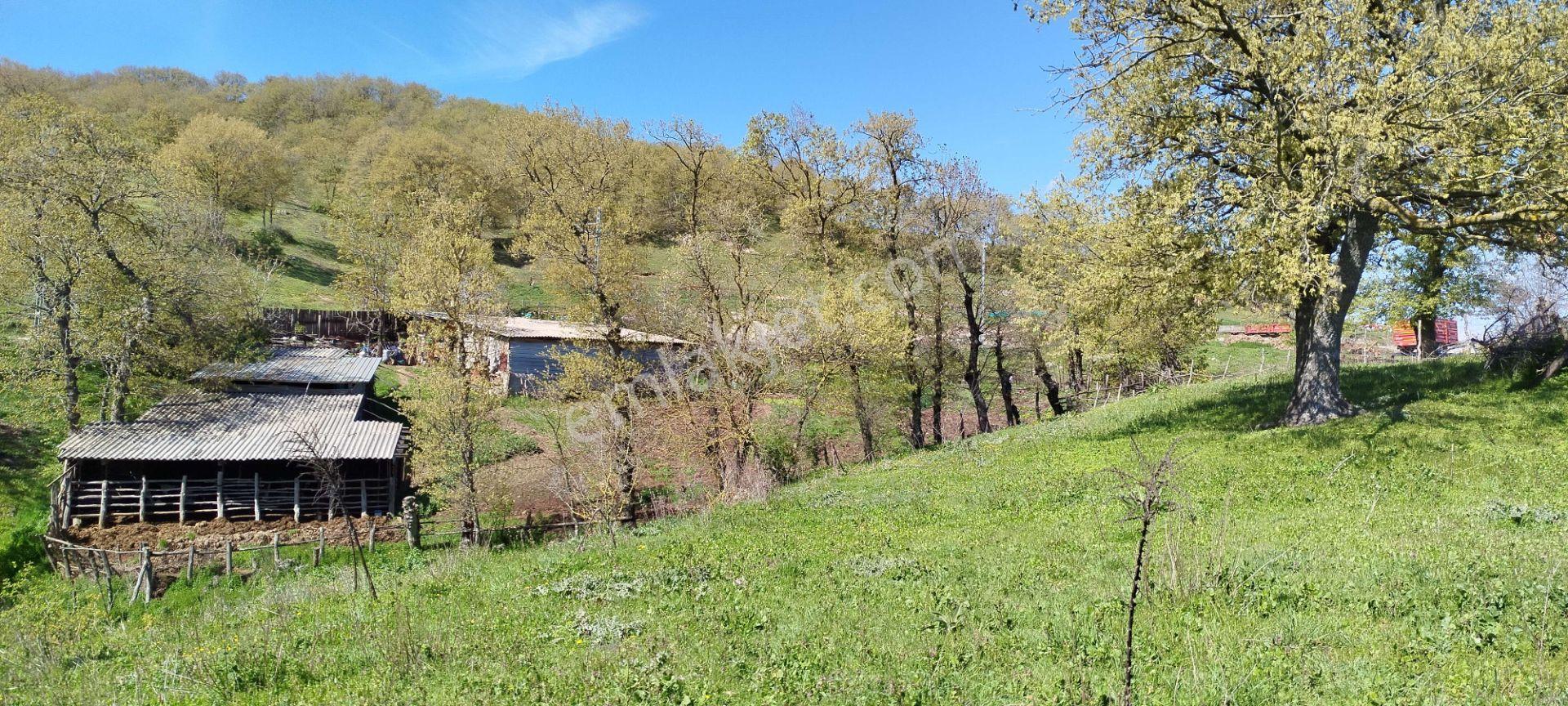1.734 M2 Arsa Keşif Arazi . Balıkesir Gönen Kalburcu Köyü 110-3 Parselde. Köy Kenarında, Düz, Me — fotoğraf 11