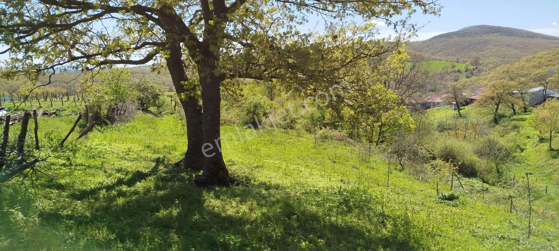 1.734 M2 Arsa Keşif Arazi . Balıkesir Gönen Kalburcu Köyü 110-3 Parselde. Köy Kenarında, Düz, Me — fotoğraf 20