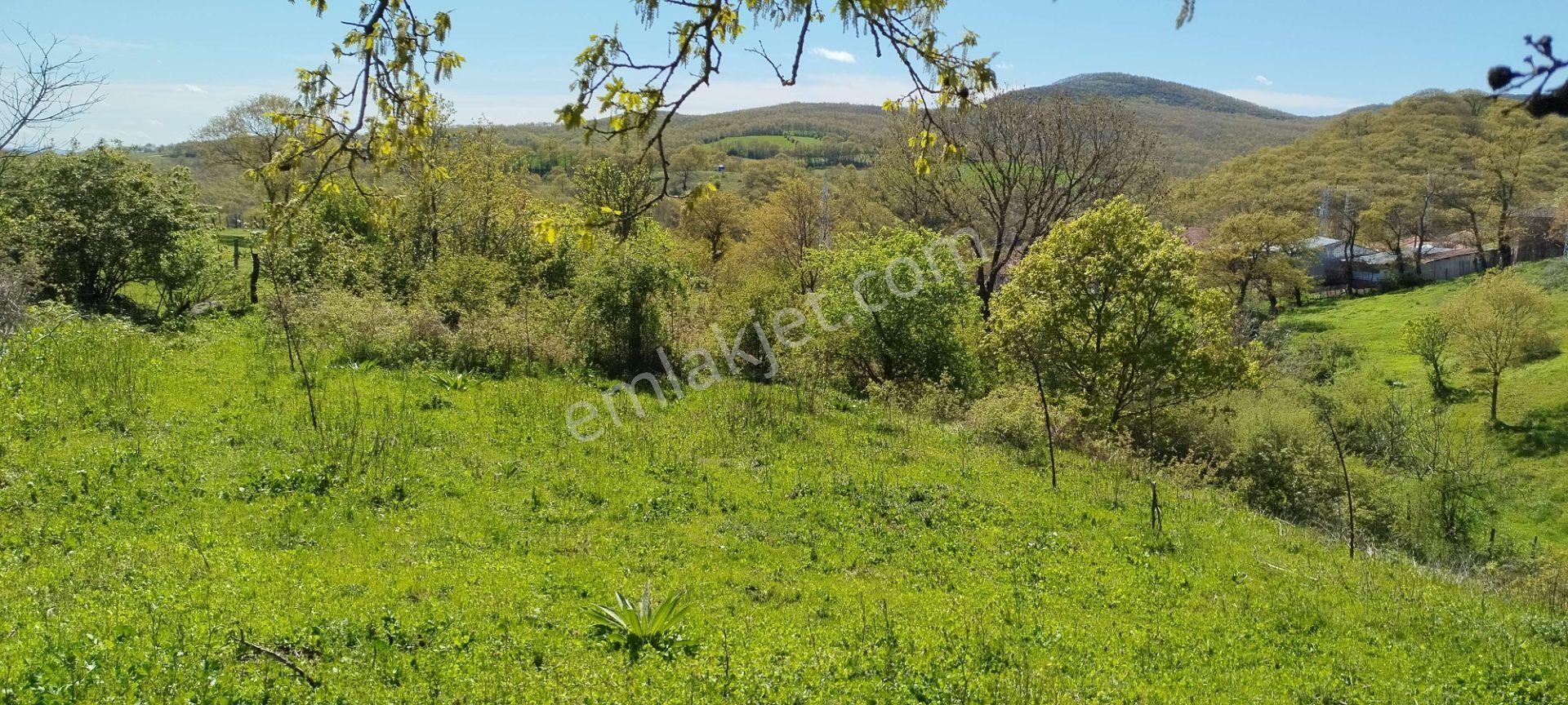1.734 M2 Arsa Keşif Arazi . Balıkesir Gönen Kalburcu Köyü 110-3 Parselde. Köy Kenarında, Düz, Me — fotoğraf 21