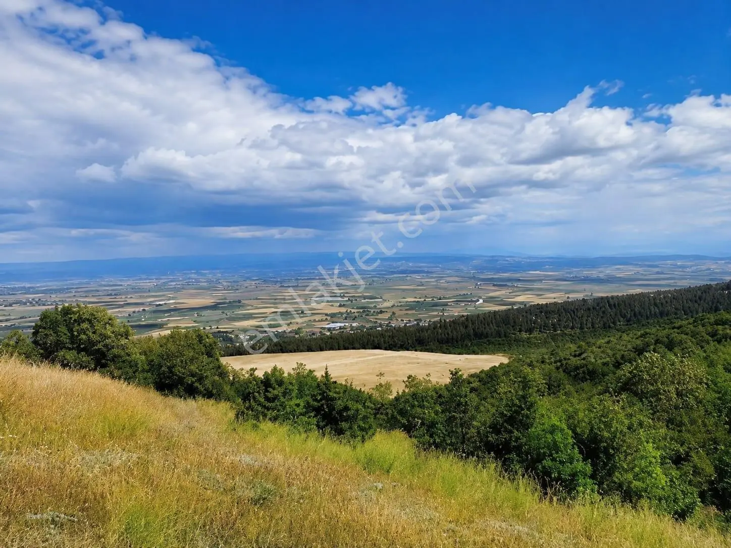Bursa İznik Gölü Manzaralı Tek Tapu 40.000 M2 Arsa