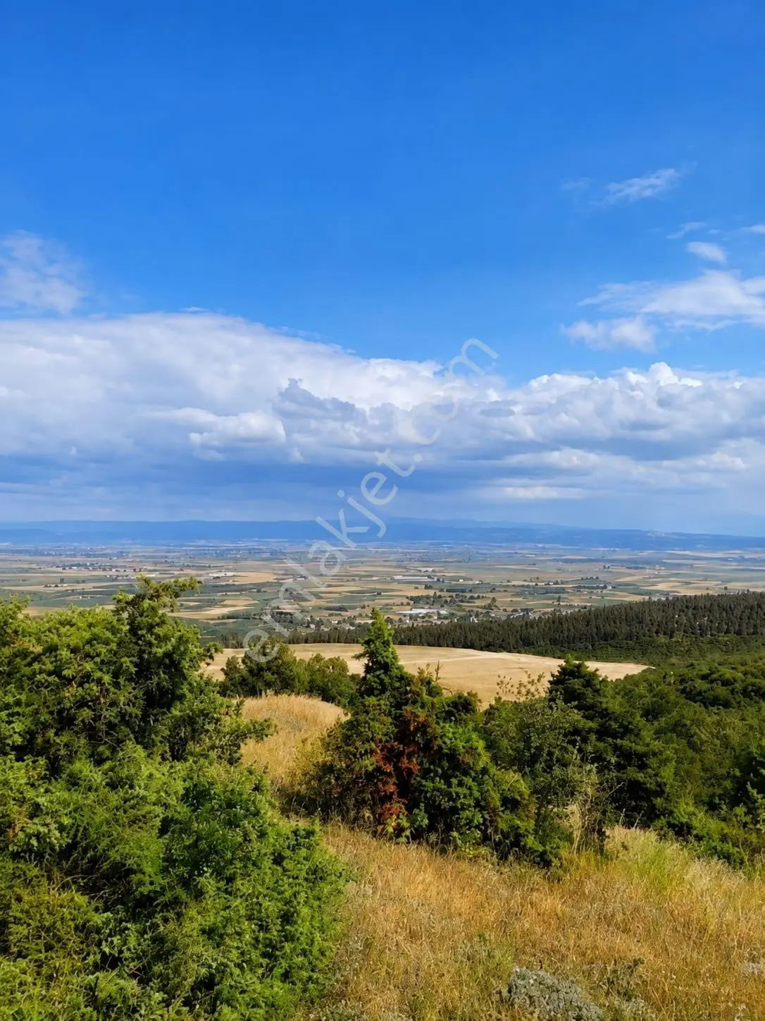 Bursa İznik Gölü Manzaralı Tek Tapu 40.000 M2 Arsa — fotoğraf 2