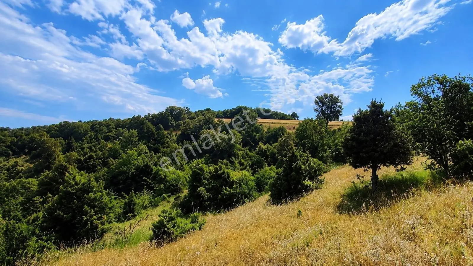 Bursa İznik Gölü Manzaralı Tek Tapu 40.000 M2 Arsa — fotoğraf 3
