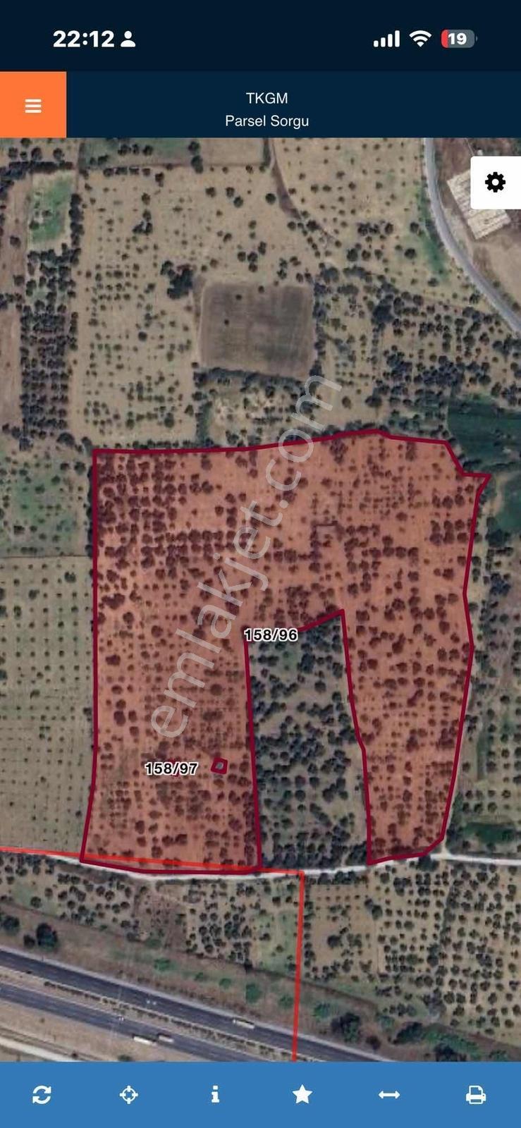 Aydın Germencik 'te Satılık 66000 M2 İncir Ve Zeytin Bahçesi — fotoğraf 3