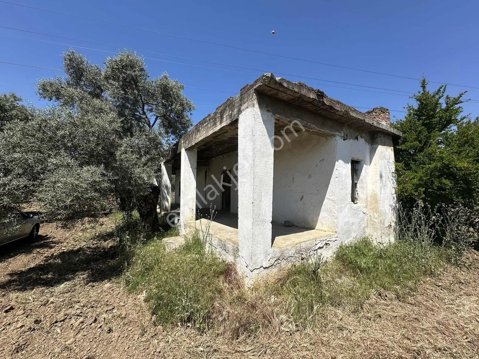 Aydın Germencik 'te Satılık 66000 M2 İncir Ve Zeytin Bahçesi — fotoğraf 14