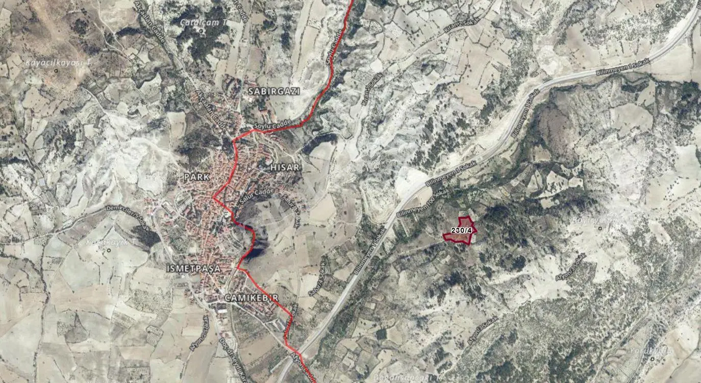 Eskı Gedız Hısarda 14362 M2 Kadastral Cepheli Satılık Arazi — fotoğraf 2