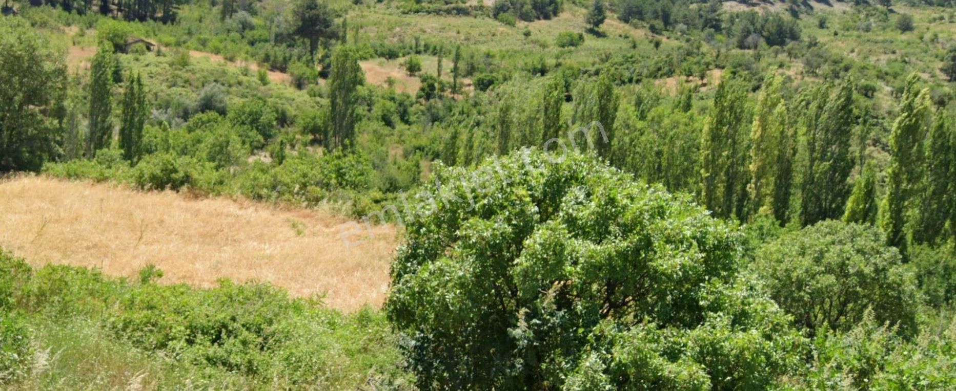 Eskı Gedız Hısarda 14362 M2 Kadastral Cepheli Satılık Arazi — fotoğraf 13
