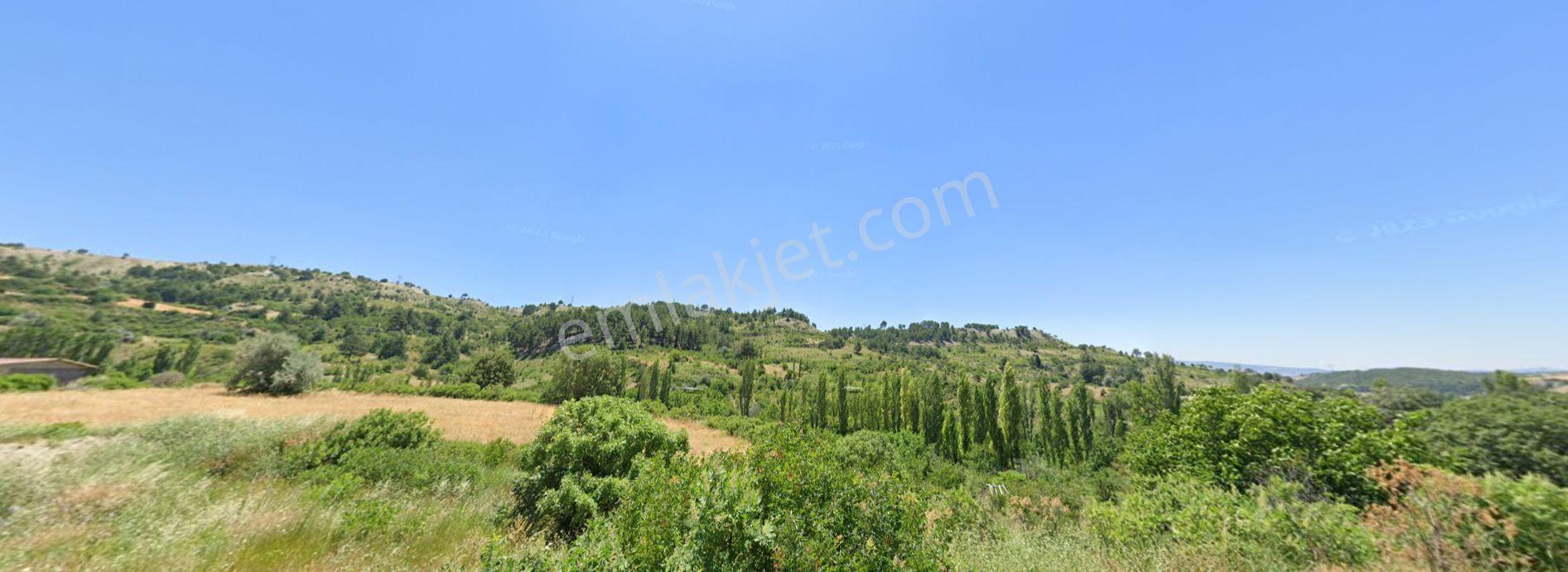 Eskı Gedız Hısarda 14362 M2 Kadastral Cepheli Satılık Arazi — fotoğraf 14