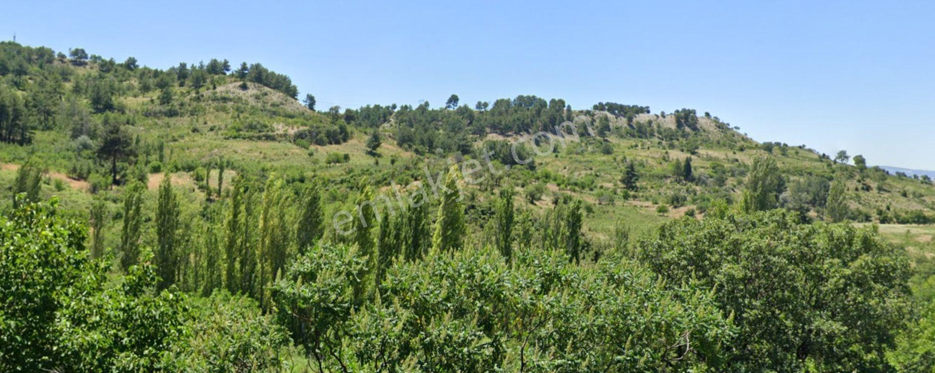 Eskı Gedız Hısarda 14362 M2 Kadastral Cepheli Satılık Arazi — fotoğraf 15