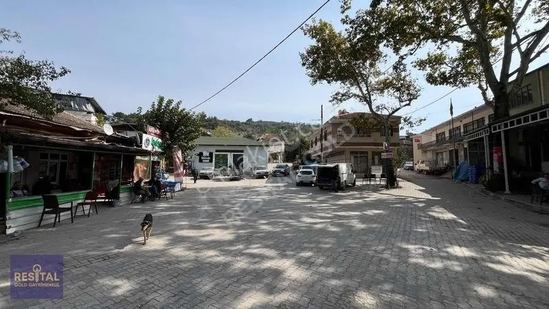 Mudanya Derekoyde Bahcelı Daıre Ve Dukkan Bır Arada — fotoğraf 2