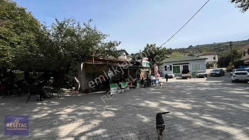 Mudanya Derekoyde Bahcelı Daıre Ve Dukkan Bır Arada — fotoğraf 3
