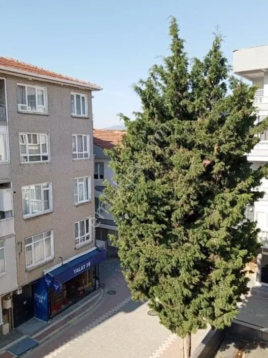 Bursa Emlak Alem-i Küçük Kumlada 2+1 85 M2 Denize Yakın Satılık — fotoğraf 23