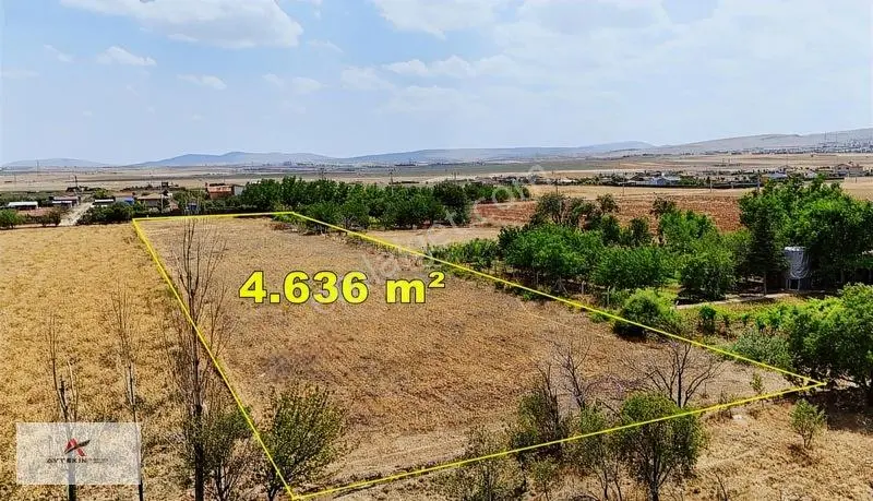 Meram Gödene'De 4.636 M2 Süper Konumda Bahçelik Arazi