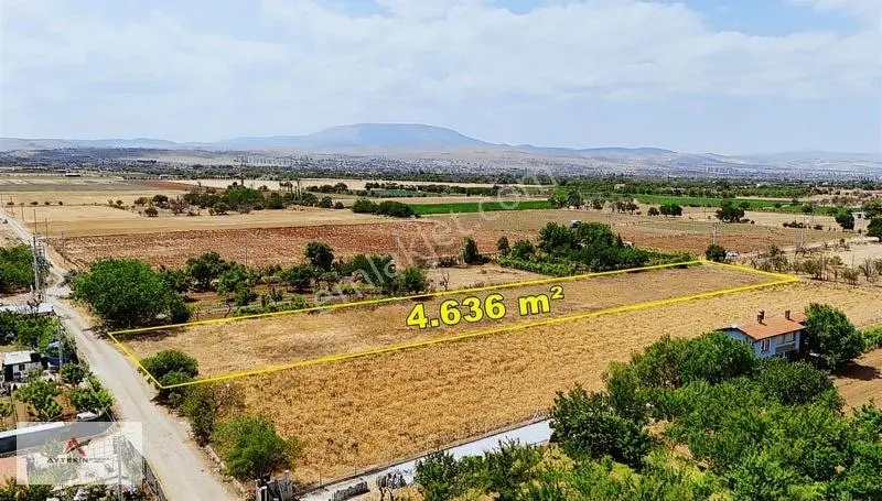 Meram Gödene'de 4.636 M2 Süper Konumda Bahçelik Arazi — fotoğraf 5