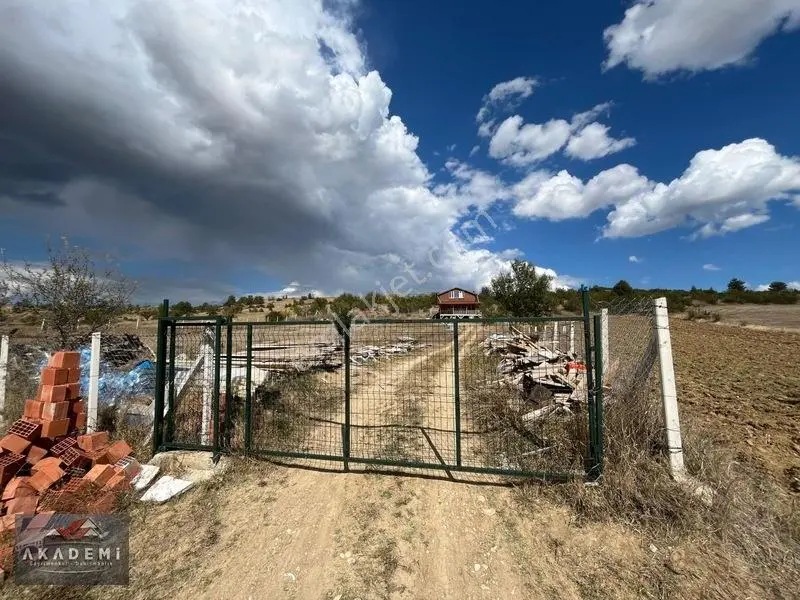 Kastamonu Merkez Hocaköyünde İçinde Evi İle