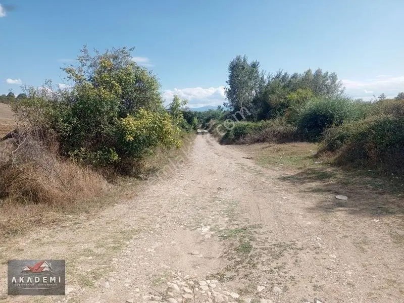 Kastamonu Merkez Hocaköyünde İçinde Evi İle — fotoğraf 6