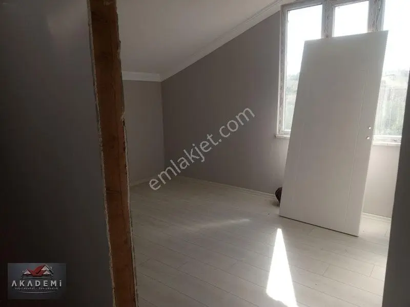 Kastamonu Merkez Hocaköyünde İçinde Evi İle — fotoğraf 10