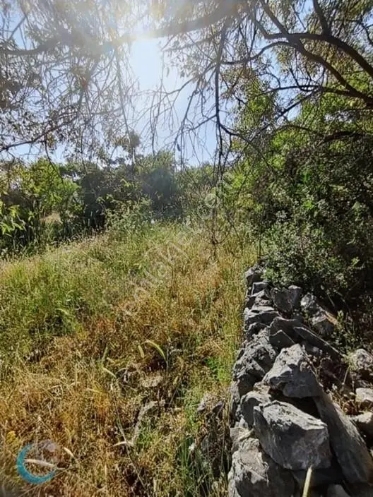 Takaslı,alanya Gözübüyük Mah. Satılık Tarla — fotoğraf 2