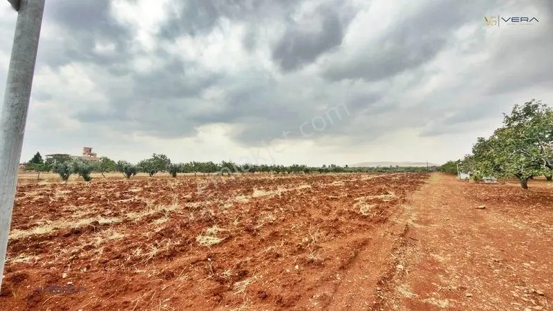 Havalimanı Dibinde Asfalta Sıfır 2.500 M² Satılık Kıymetli Arazi — fotoğraf 6