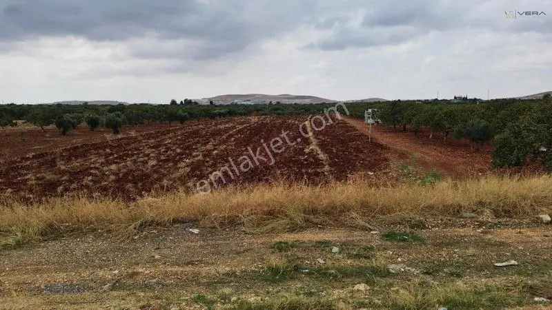 Havalimanı Dibinde Asfalta Sıfır 2.500 M² Satılık Kıymetli Arazi — fotoğraf 7