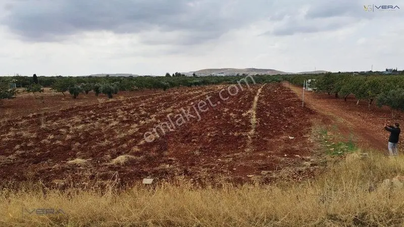 Havalimanı Dibinde Asfalta Sıfır 2.500 M² Satılık Kıymetli Arazi — fotoğraf 8