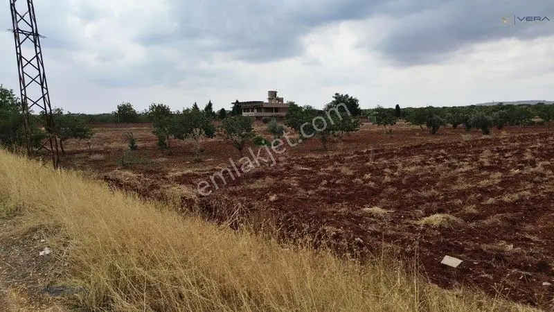 Havalimanı Dibinde Asfalta Sıfır 2.500 M² Satılık Kıymetli Arazi — fotoğraf 9
