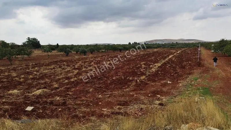 Havalimanı Dibinde Asfalta Sıfır 2.500 M² Satılık Kıymetli Arazi — fotoğraf 11
