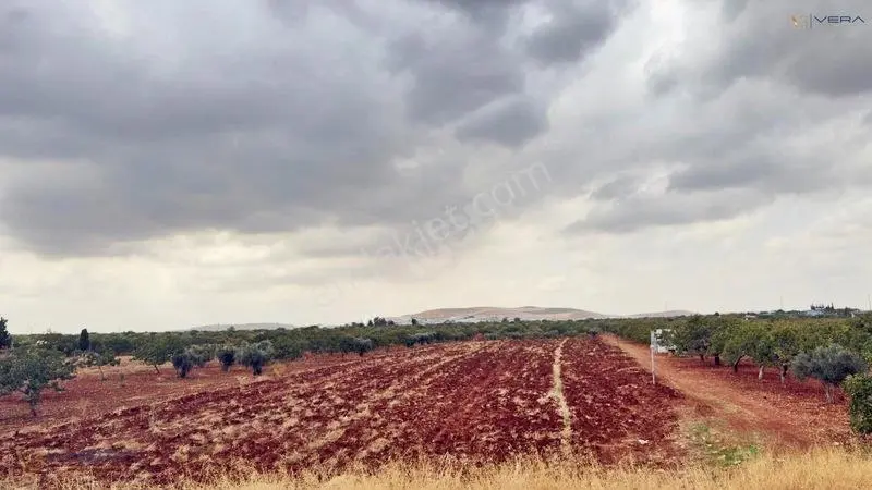 Havalimanı Dibinde Asfalta Sıfır 2.500 M² Satılık Kıymetli Arazi — fotoğraf 12