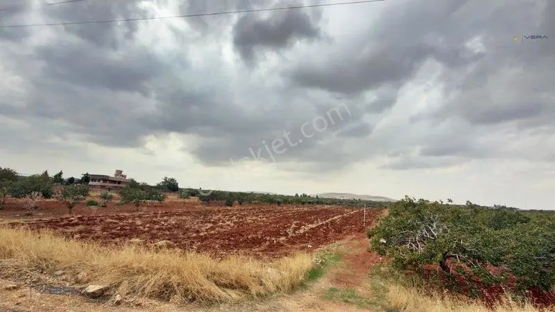 Havalimanı Dibinde Asfalta Sıfır 2.500 M² Satılık Kıymetli Arazi — fotoğraf 13