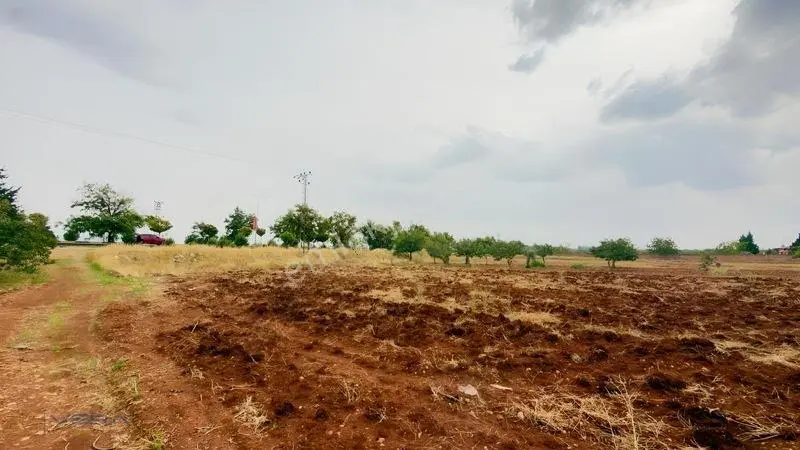 Havalimanı Dibinde Asfalta Sıfır 2.500 M² Satılık Kıymetli Arazi — fotoğraf 14