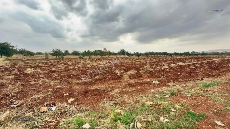 Havalimanı Dibinde Asfalta Sıfır 2.500 M² Satılık Kıymetli Arazi — fotoğraf 15
