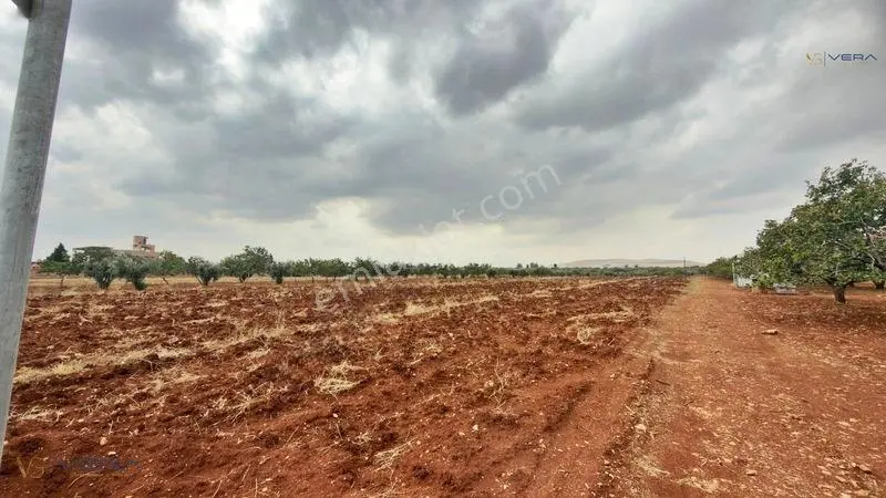 Havalimanı Dibinde Asfalta Sıfır 2.500 M² Satılık Kıymetli Arazi — fotoğraf 16