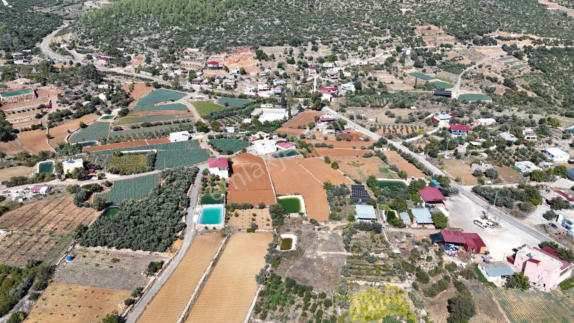 Mersin Erdemli Esenpınar Ağlıca Da 1731M2 Satılık Tarla