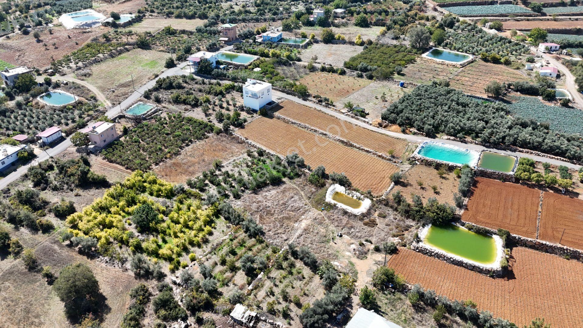 Mersin Erdemli Esenpınar Ağlıca Da 1731m2 Satılık Tarla — fotoğraf 3