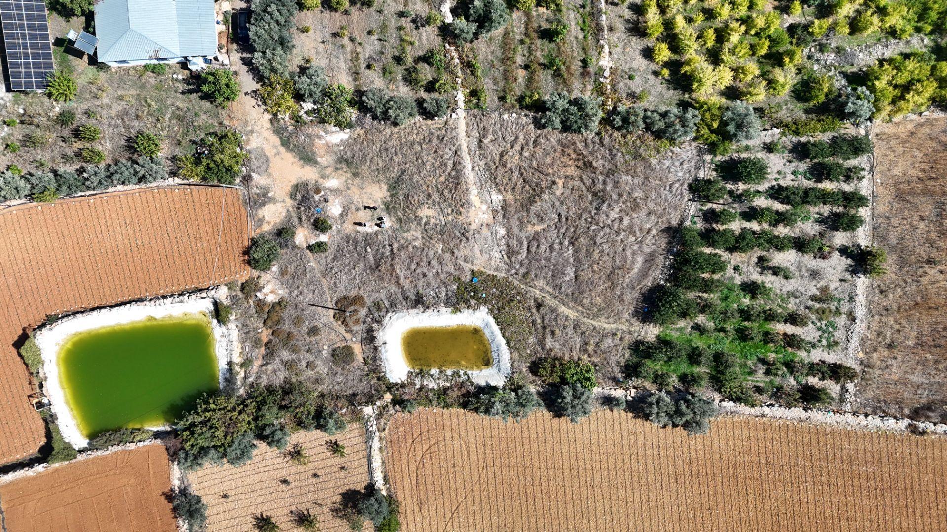 Mersin Erdemli Esenpınar Ağlıca Da 1731m2 Satılık Tarla — fotoğraf 5